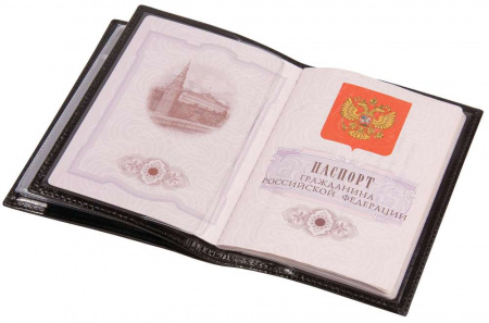 Миниатюра WWW (1000)